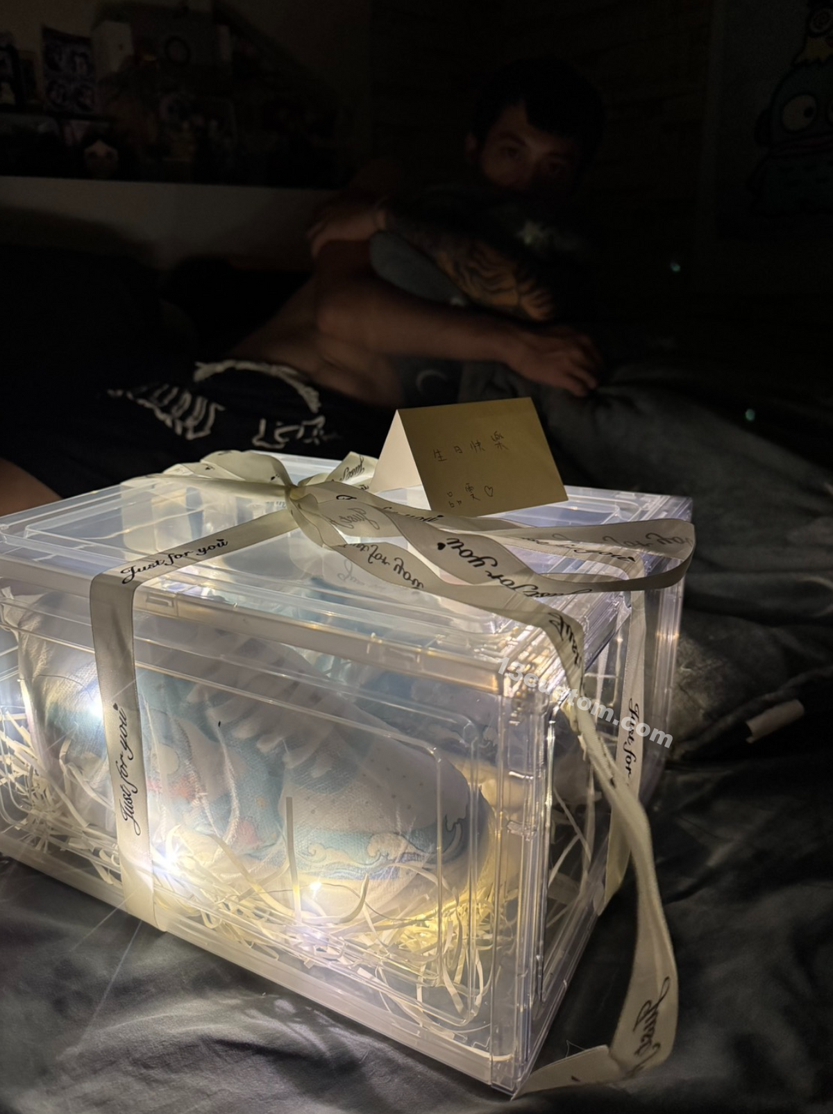Sneaker Gift & Display Case – LED Lights + Anti-Yellowing Protection