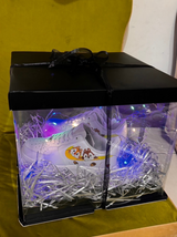 Ready-to-Gift Shoe Packaging Box (Includes LED String Lights & Card)