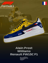 Williams F.1 Custom Sneakers